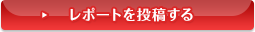 レポートを投稿する
