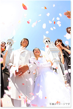 イメージ写真